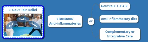 3. Gout Pain Relief