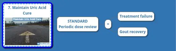 7. Maintain Uric Acid Cure