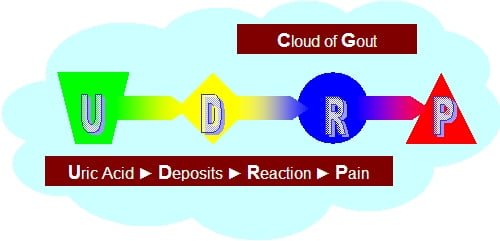 Uric Acid Causes graphic